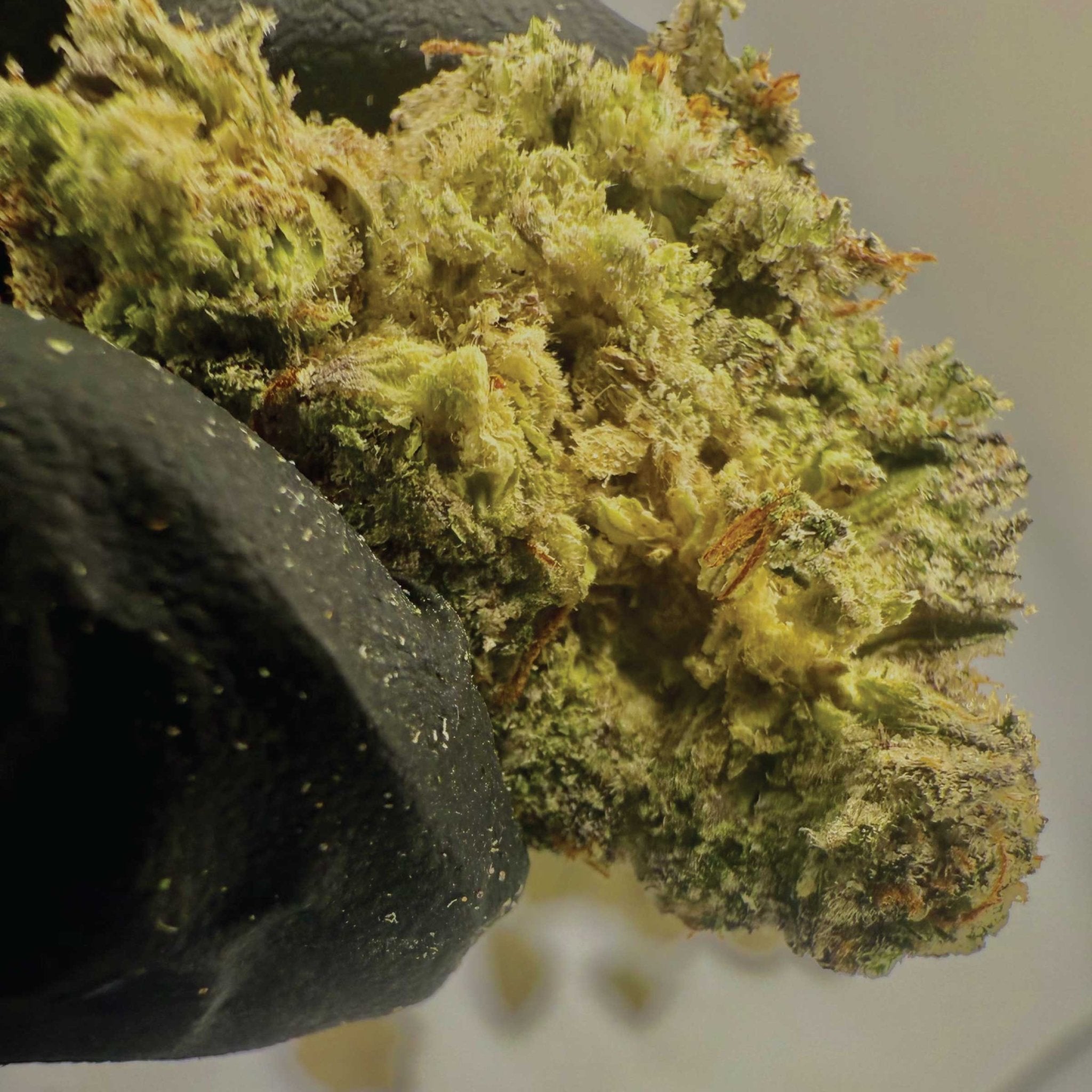 Exploring Blow Pop: Southern California’s Premium Indica Hybrid - BudZoom