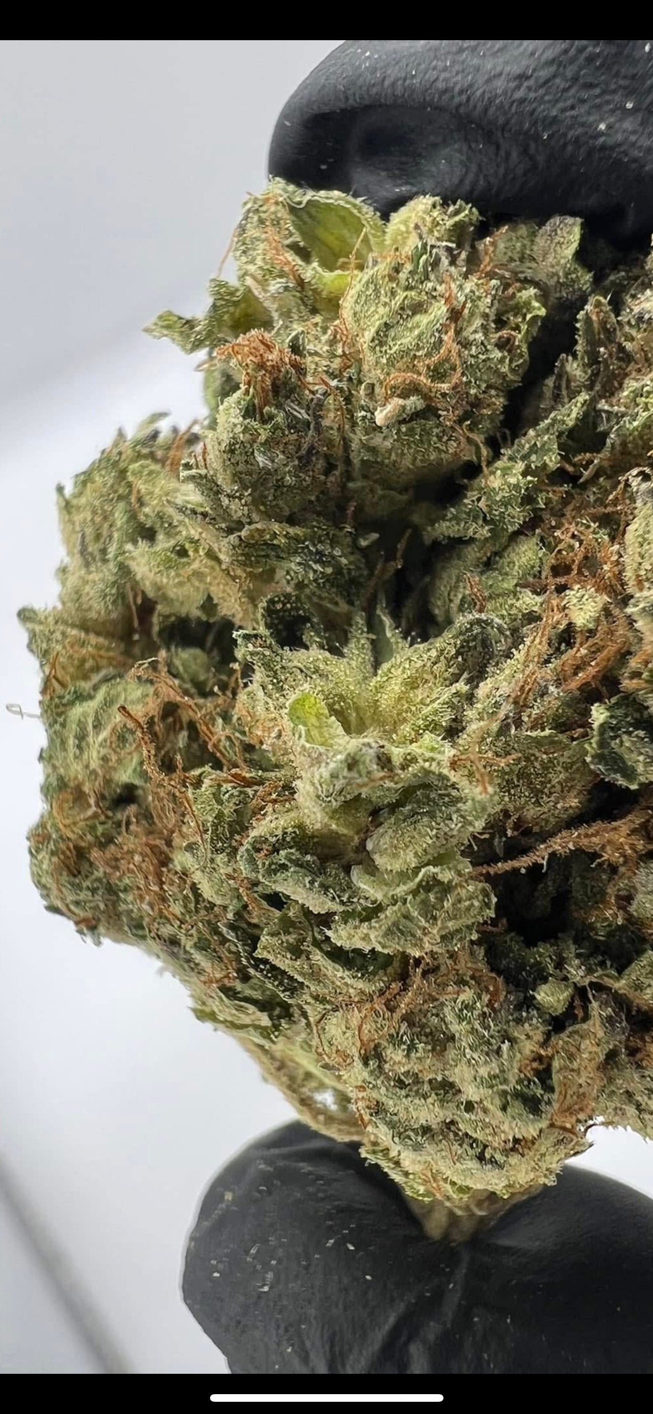 Obama Kush - Premium Indica-Dominant Flower