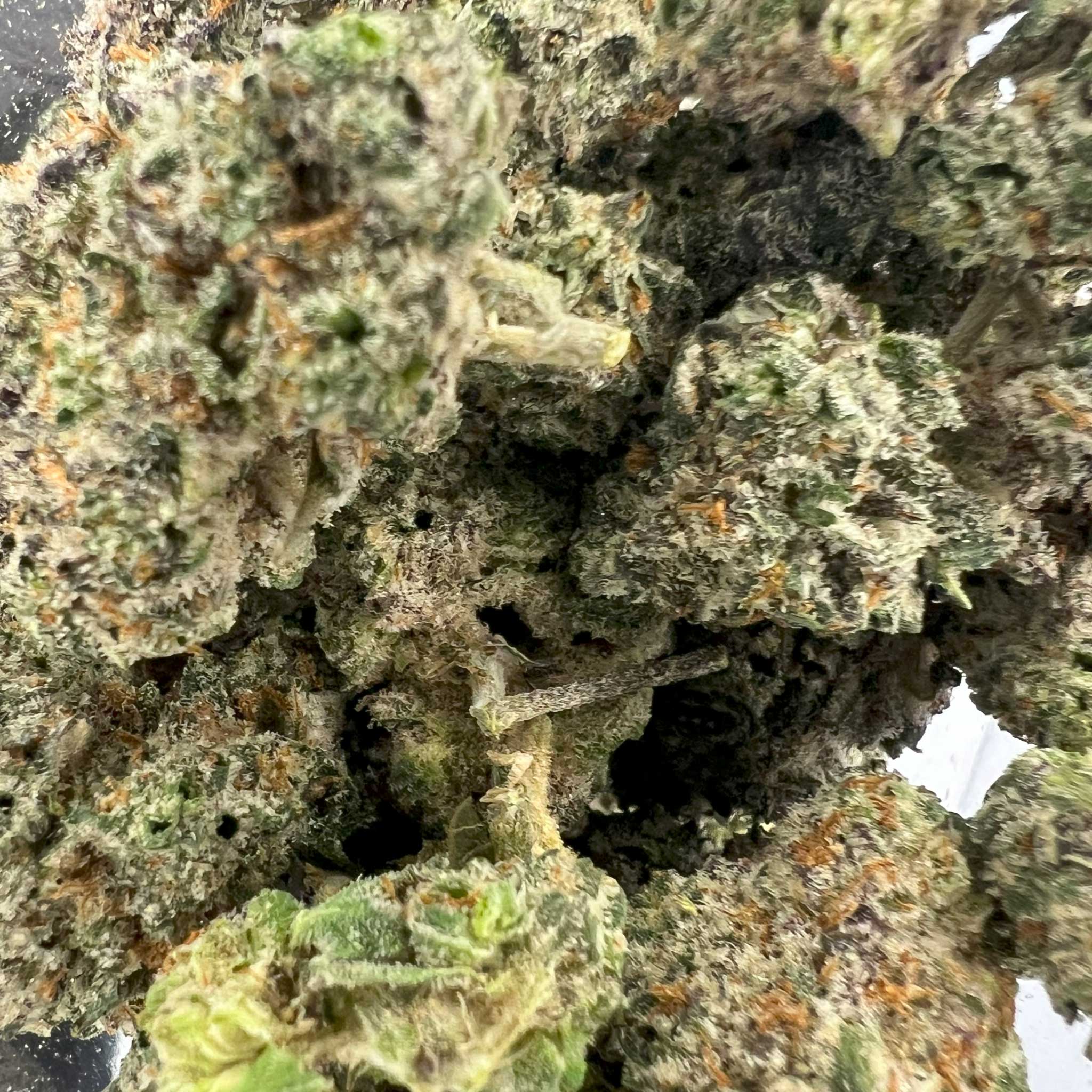 White Truffles | Top-Shelf Cannabis Strain