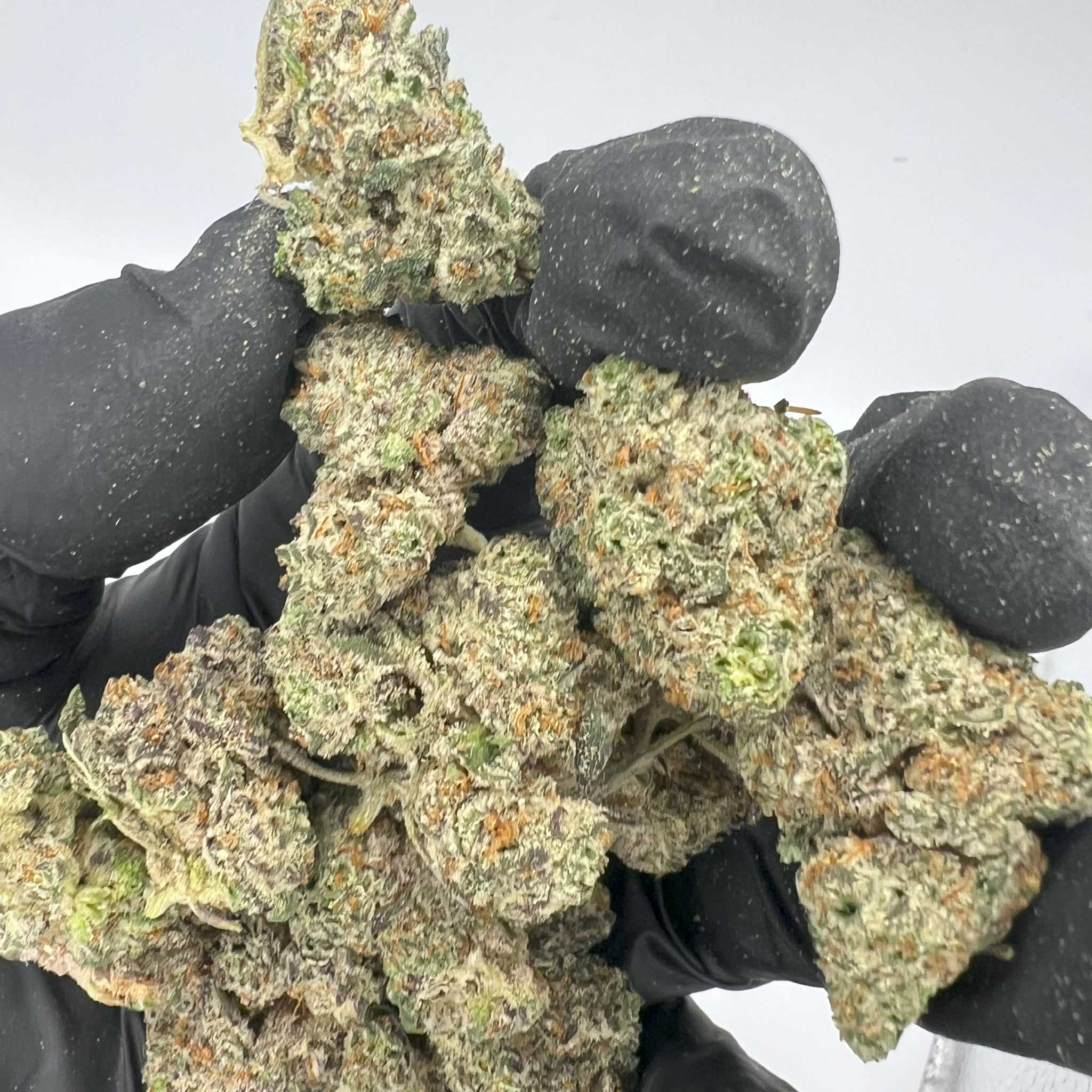 White Truffles | Top-Shelf Cannabis Strain