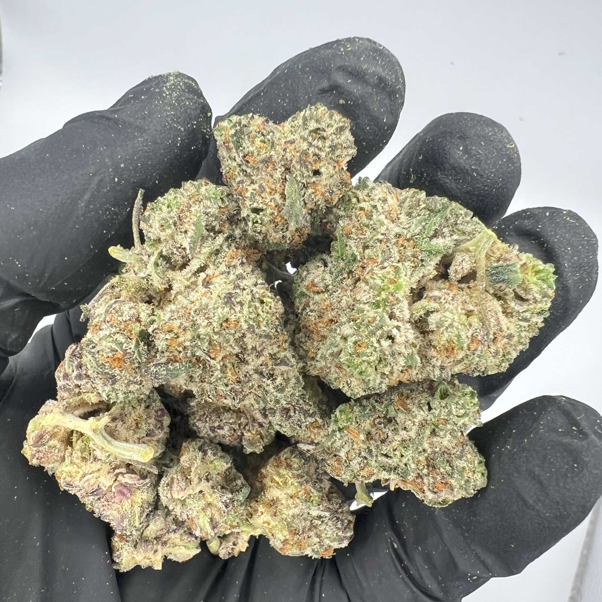 White Truffles | Top-Shelf Cannabis Strain