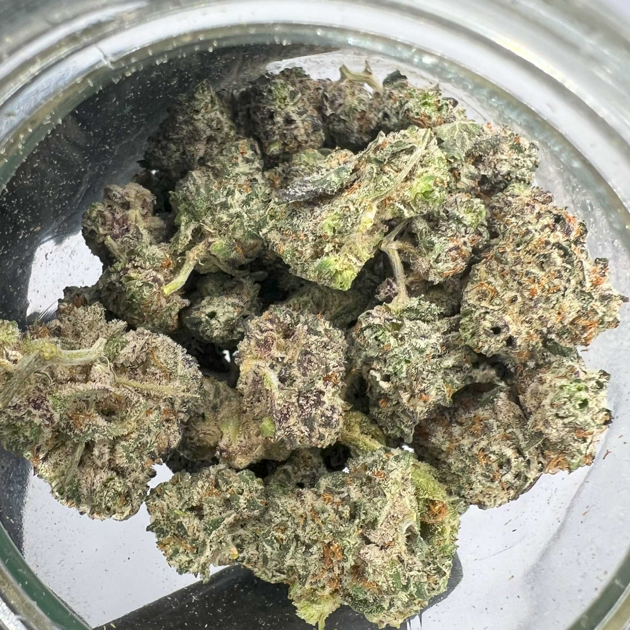 White Truffles | Top-Shelf Cannabis Strain