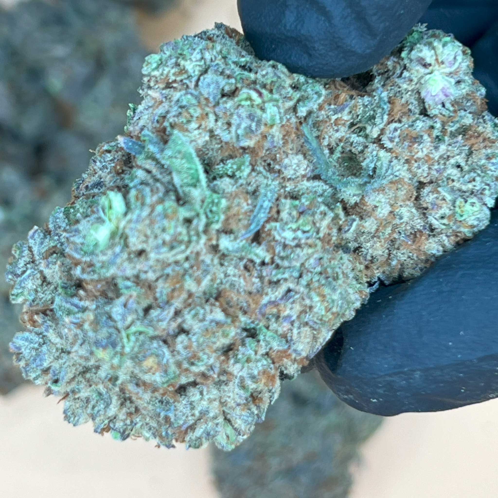 Purple Truffles – Rare Luxury Cannabis