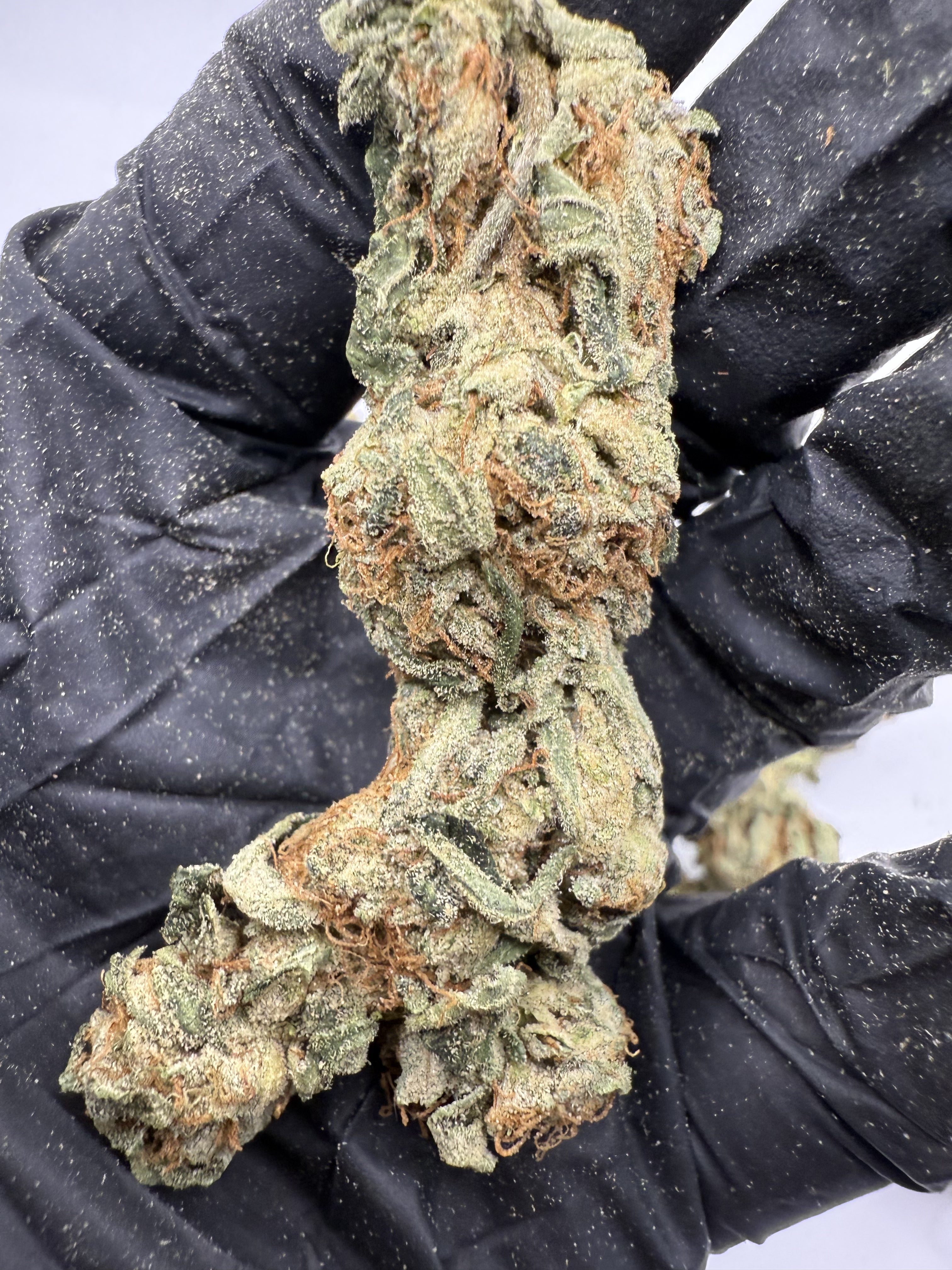 Northern Lights – Indica-Dominant Hybrid (Craft Collection)