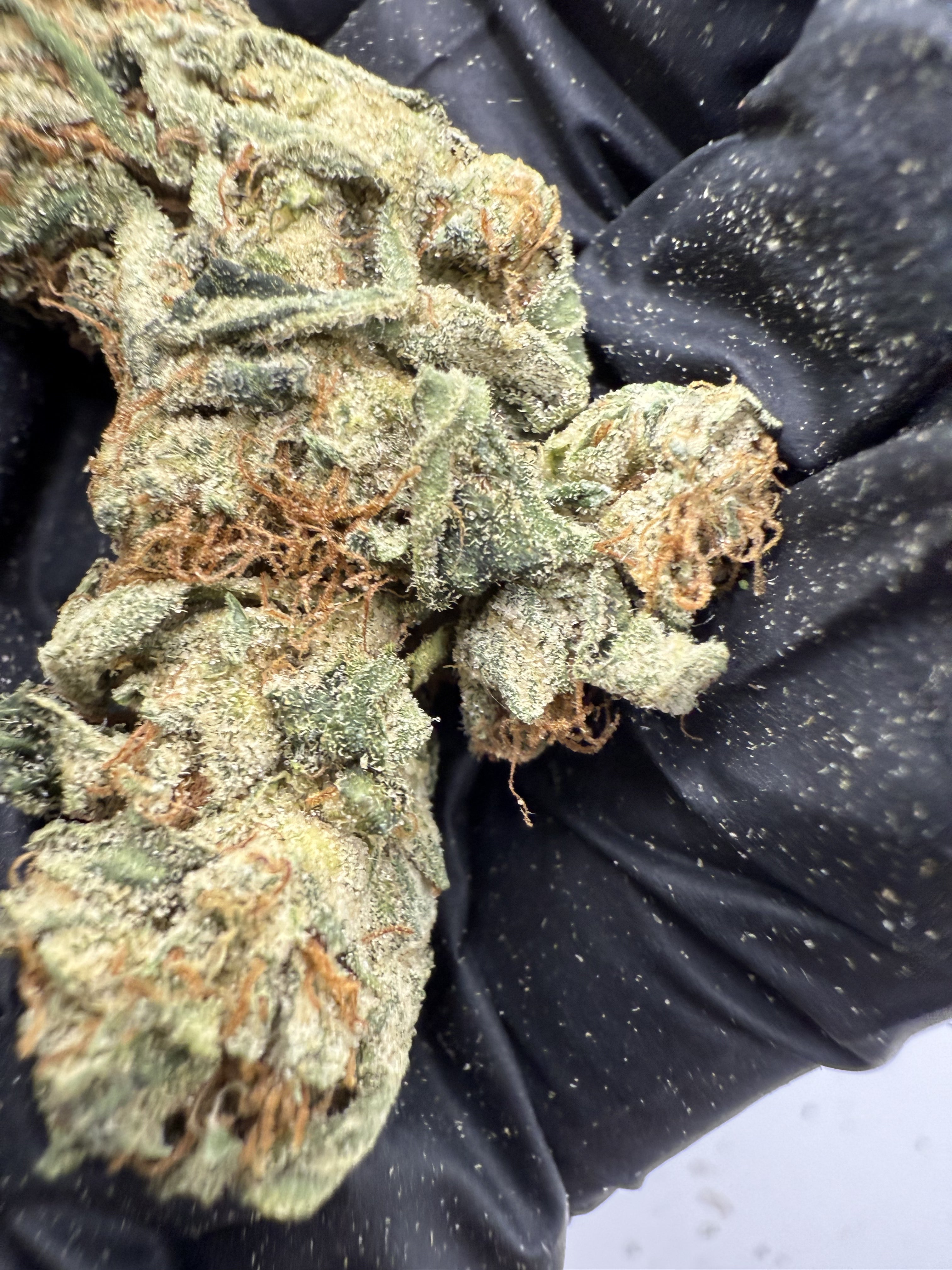 Northern Lights – Indica-Dominant Hybrid (Craft Collection)