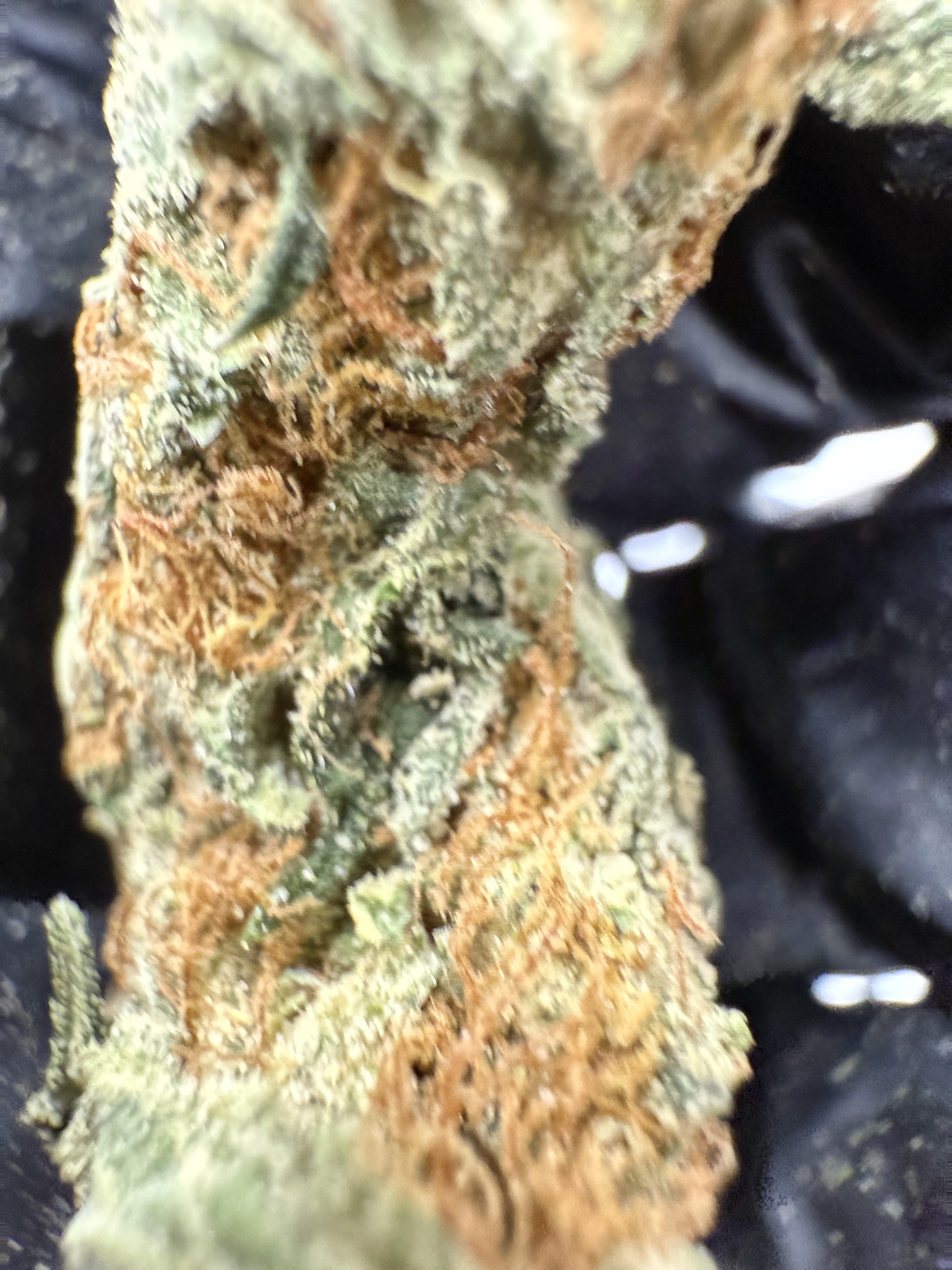 Northern Lights – Indica-Dominant Hybrid (Craft Collection)