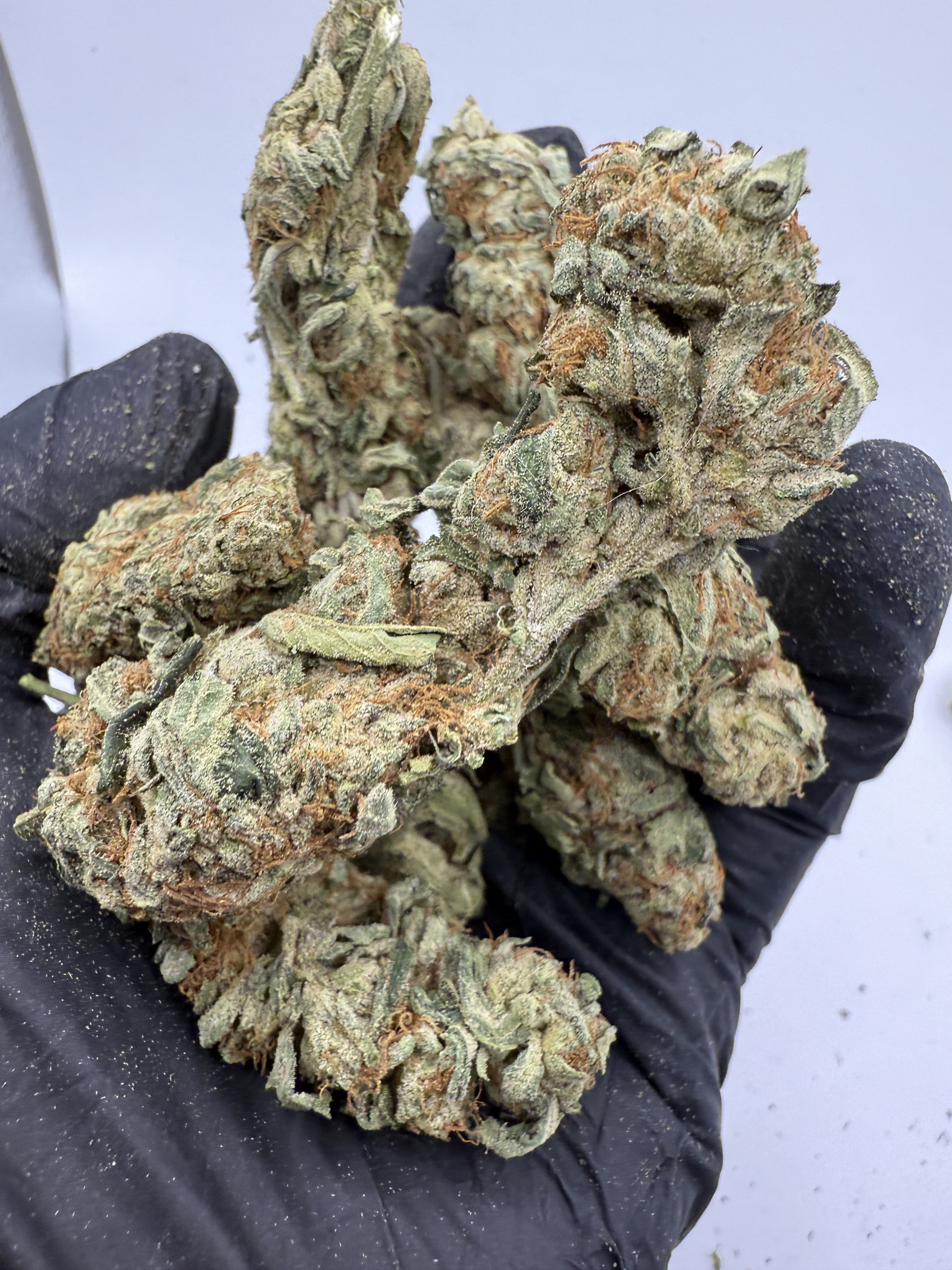 Northern Lights – Indica-Dominant Hybrid (Craft Collection)