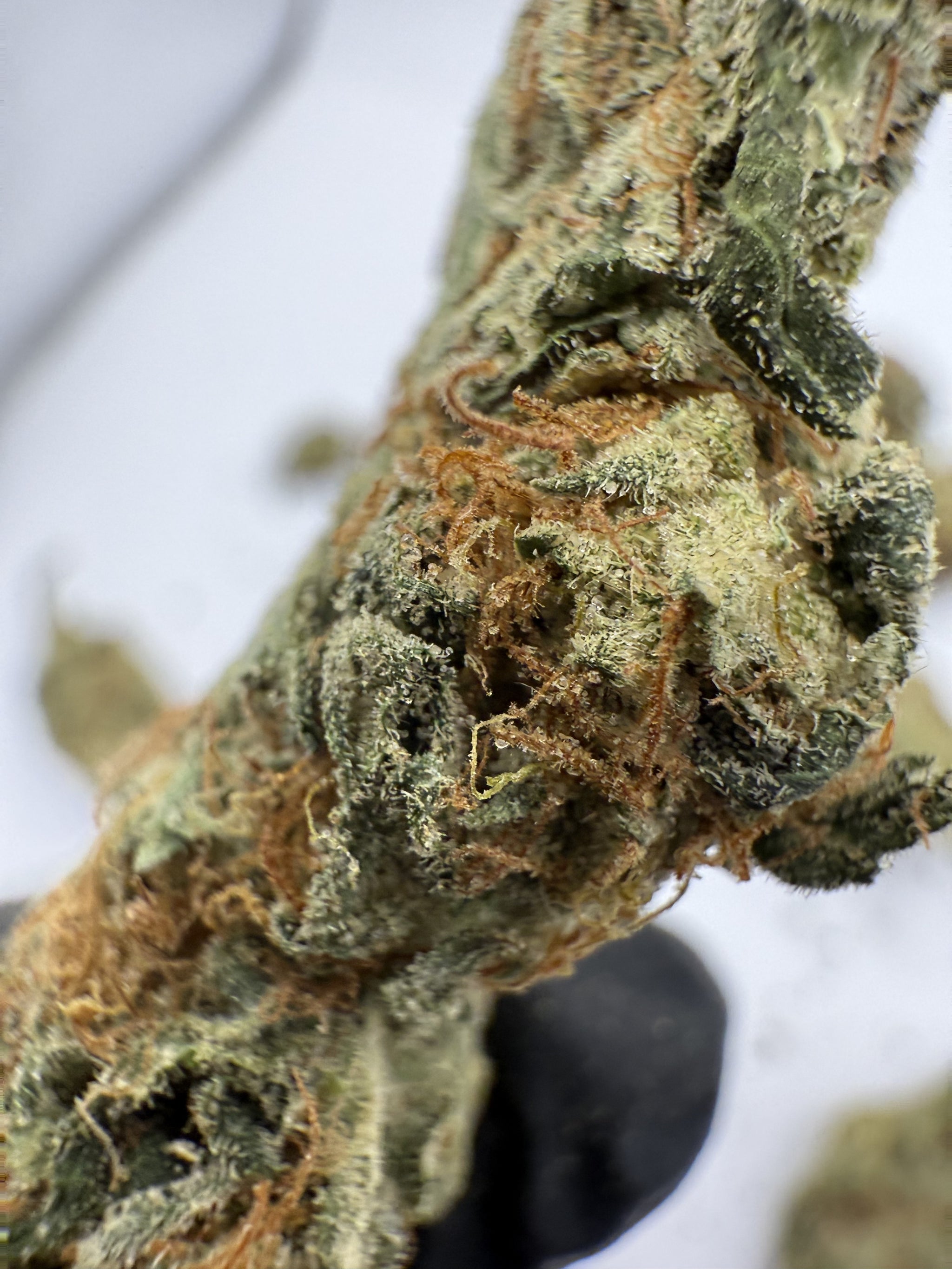 Northern Lights – Indica-Dominant Hybrid (Craft Collection)