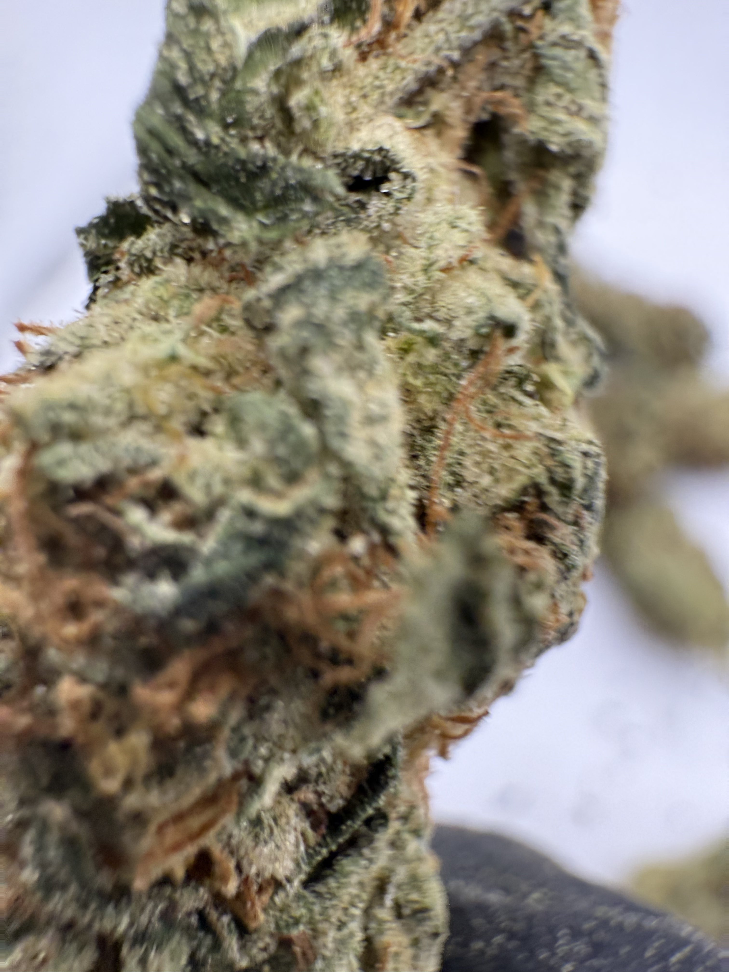 Northern Lights – Indica-Dominant Hybrid (Craft Collection)