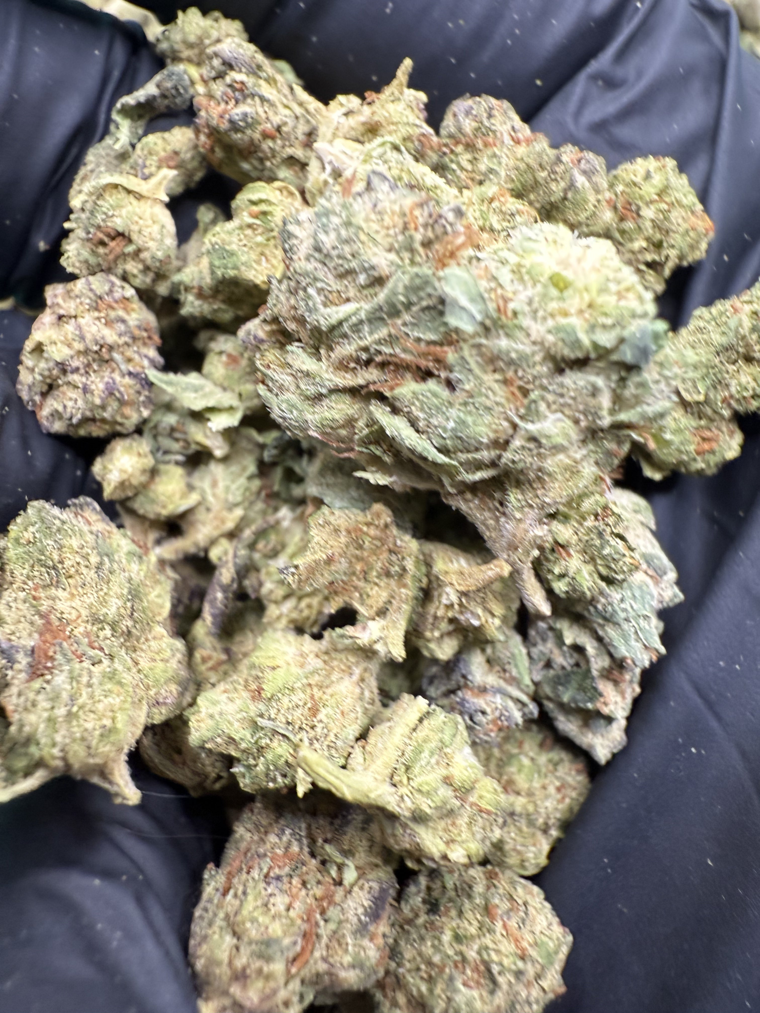 Lemon Skunk – Balanced Hybrid (Craft Collection)