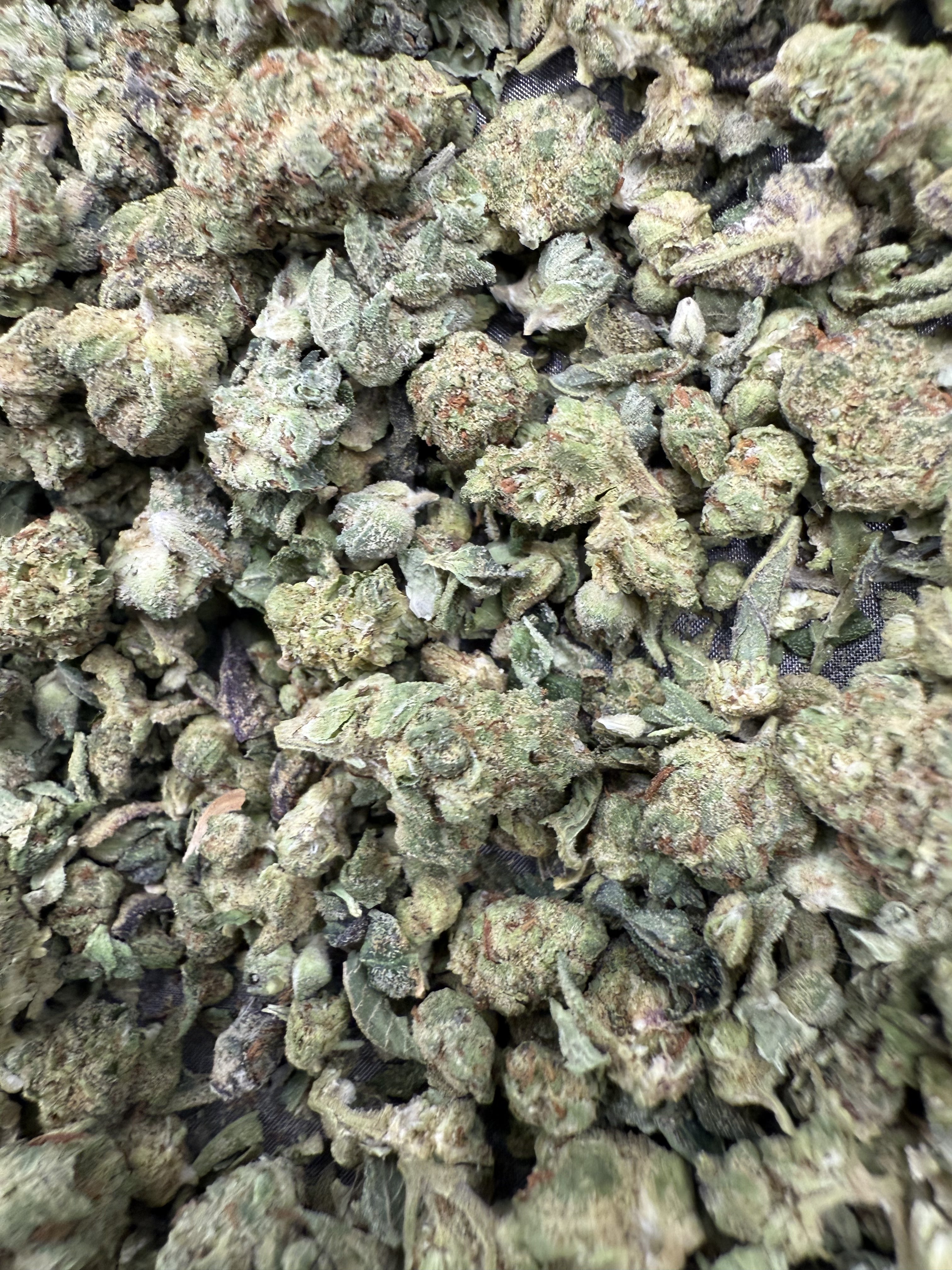 Lemon Skunk – Balanced Hybrid (Craft Collection)