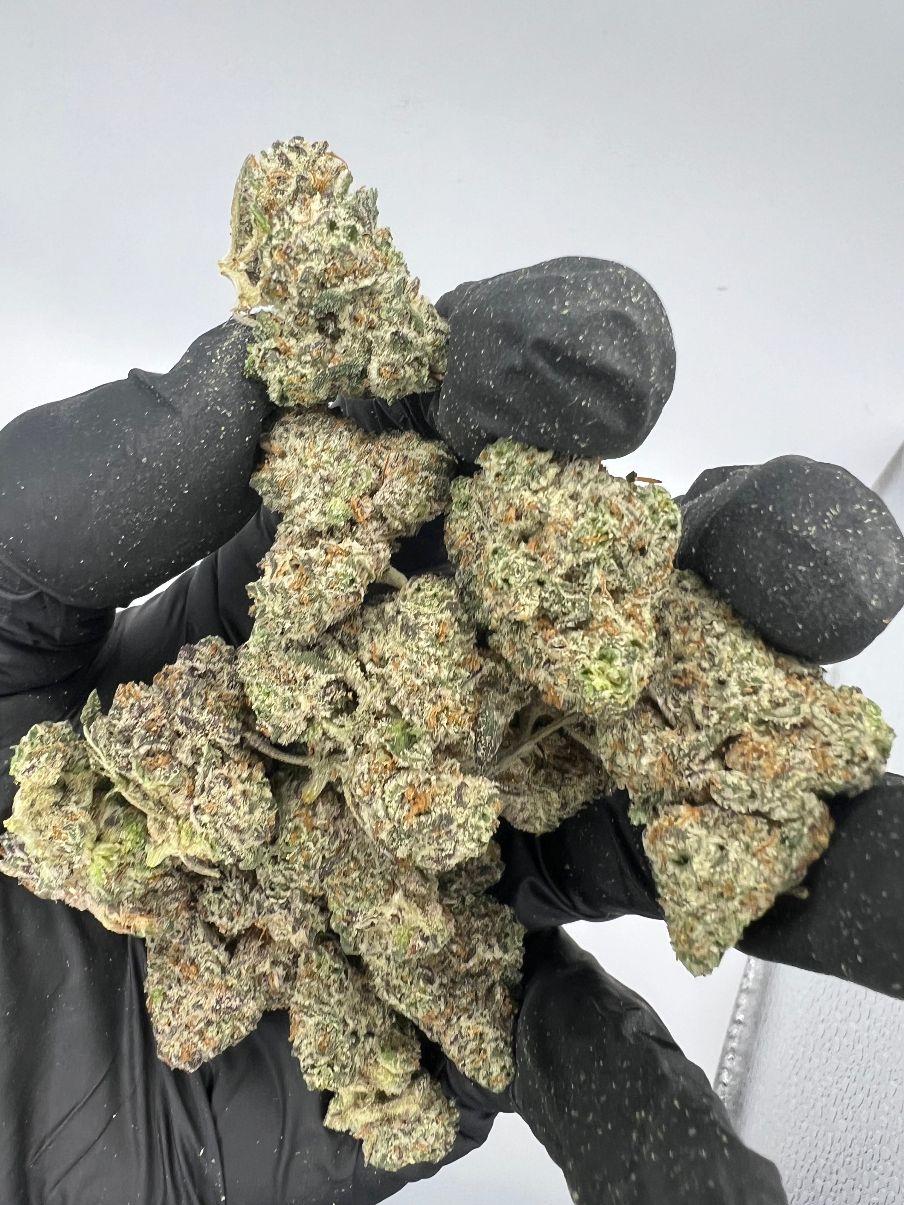 Big Bear Piney OG: variedad de cannabis de primera calidad