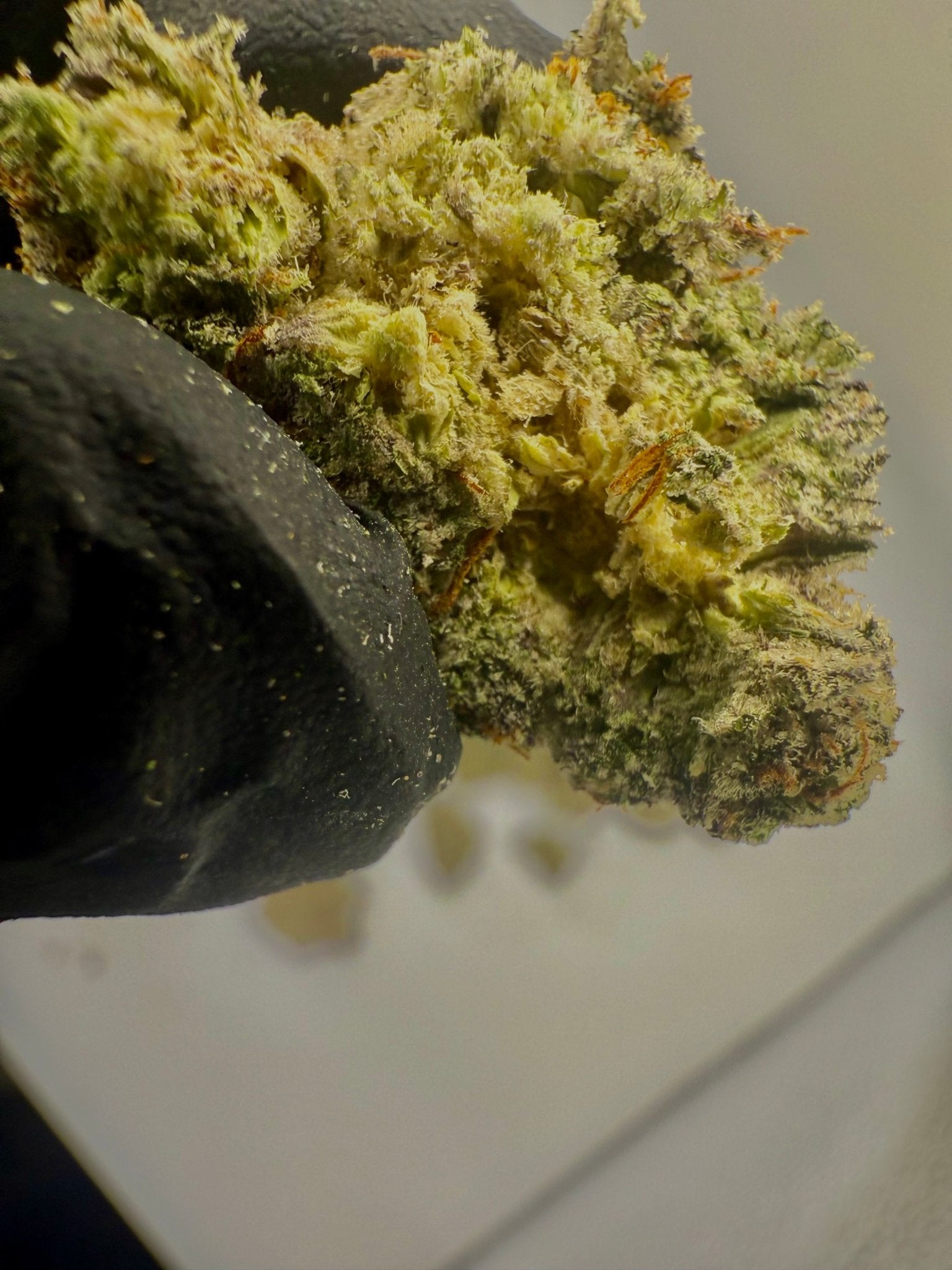 Blow Pop – Indica - Dominant Hybrid (Top Shelf) - BudZoom