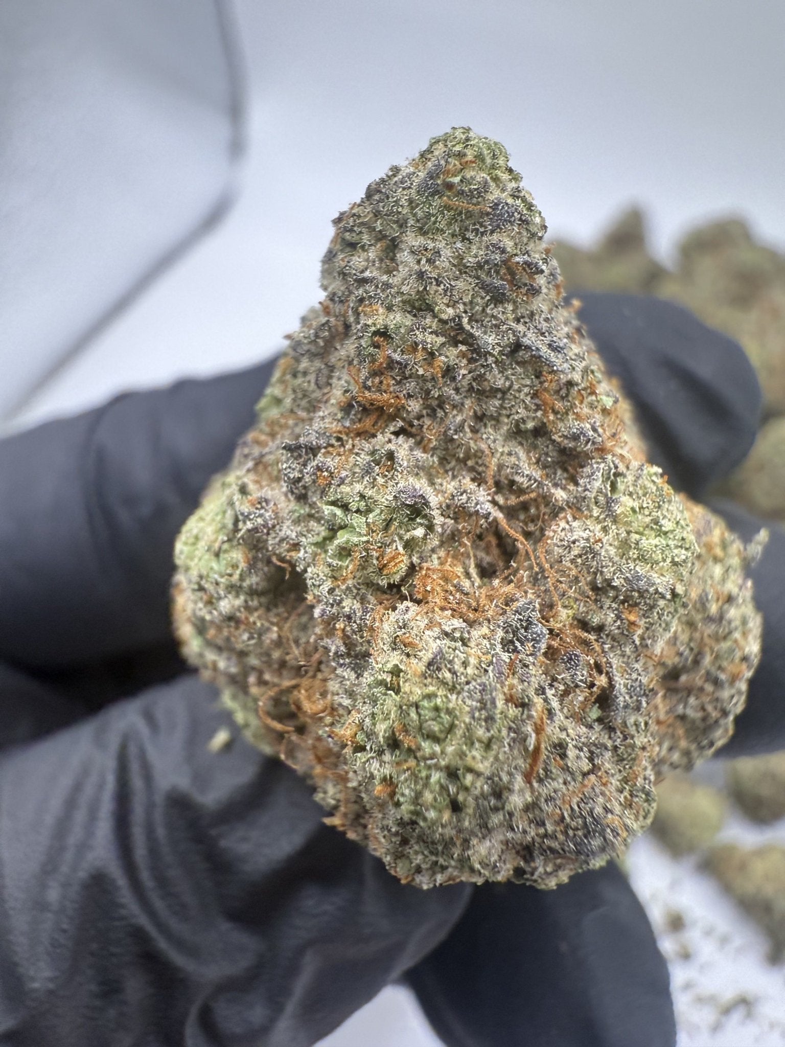 Blow Pop – Indica - Dominant Hybrid (Top Shelf) - BudZoom