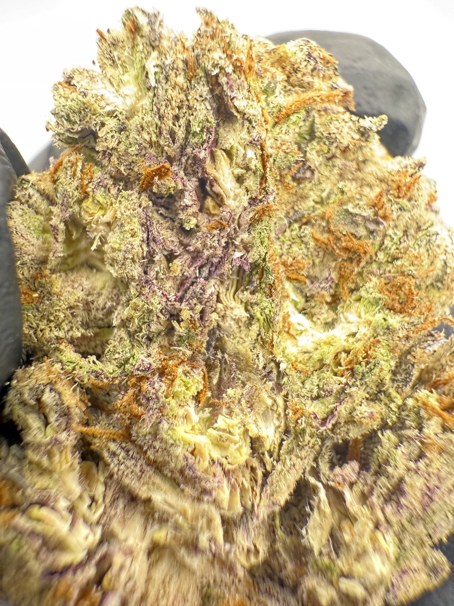 Lava Truffles – Indica - Dominant Hybrid (Top Shelf) - BudZoom