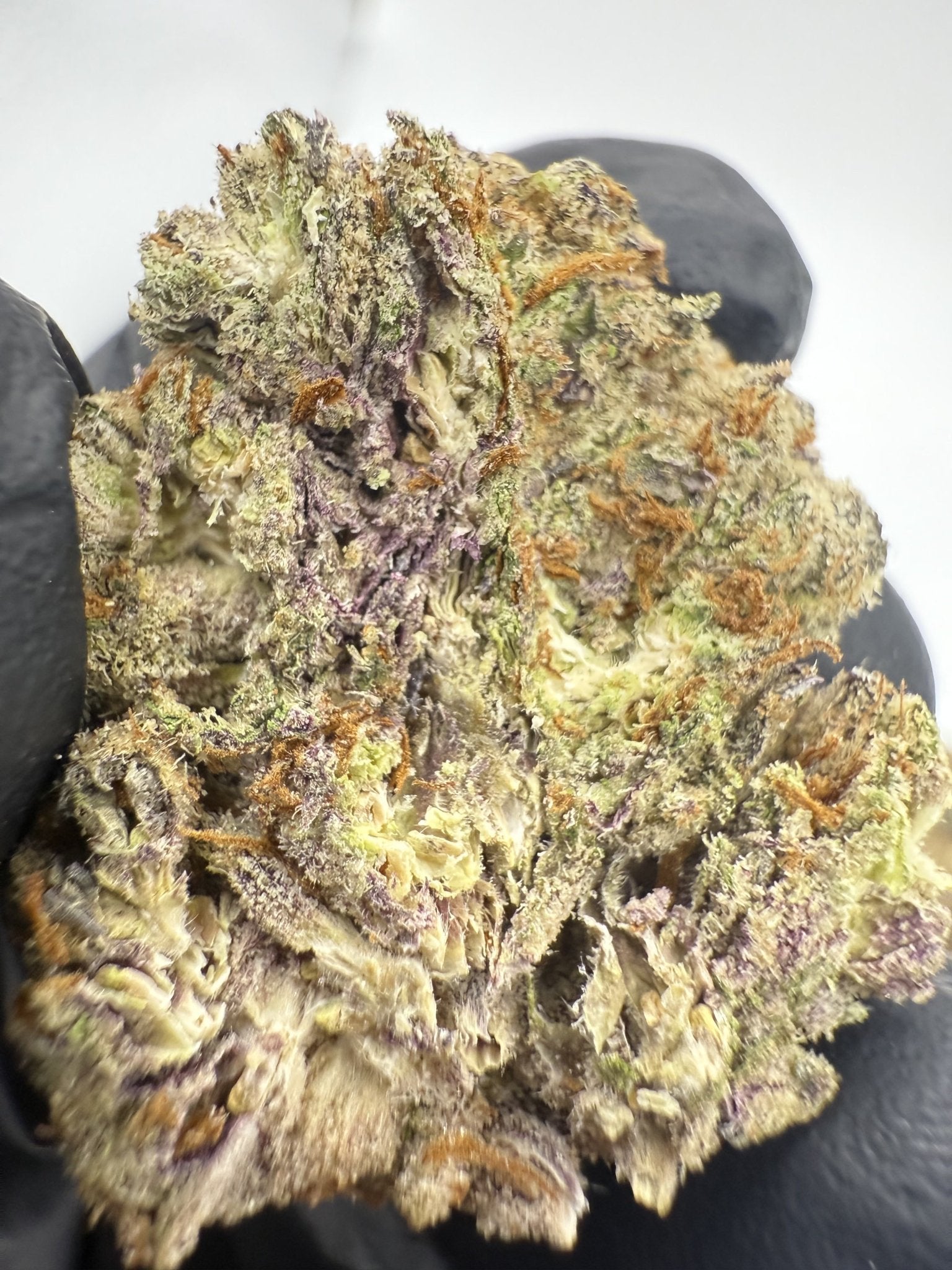 Lava Truffles – Indica - Dominant Hybrid (Top Shelf) - BudZoom