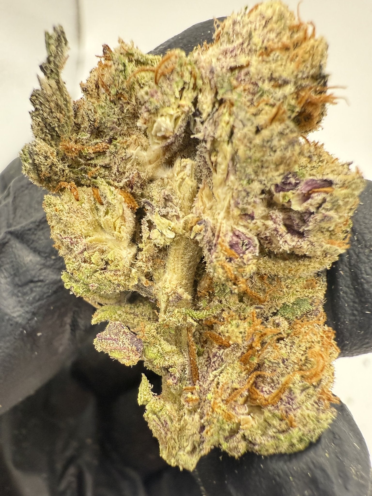 Lava Truffles – Indica - Dominant Hybrid (Top Shelf) - BudZoom