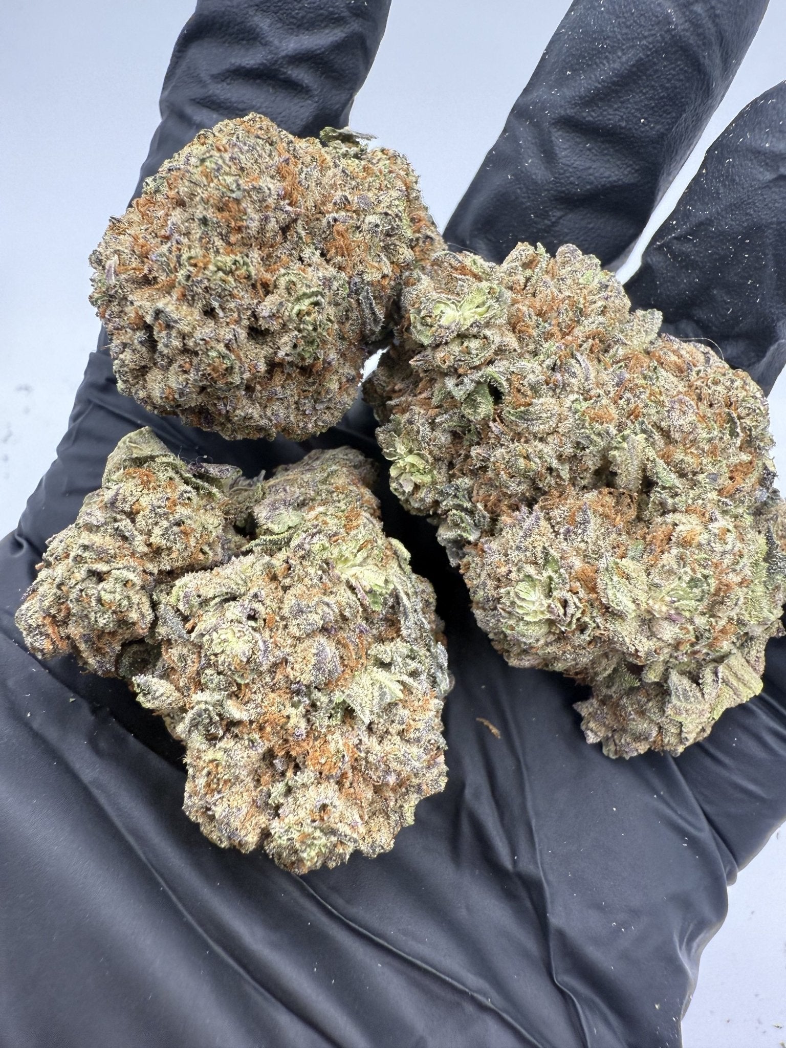 Lava Truffles – Indica - Dominant Hybrid (Top Shelf) - BudZoom