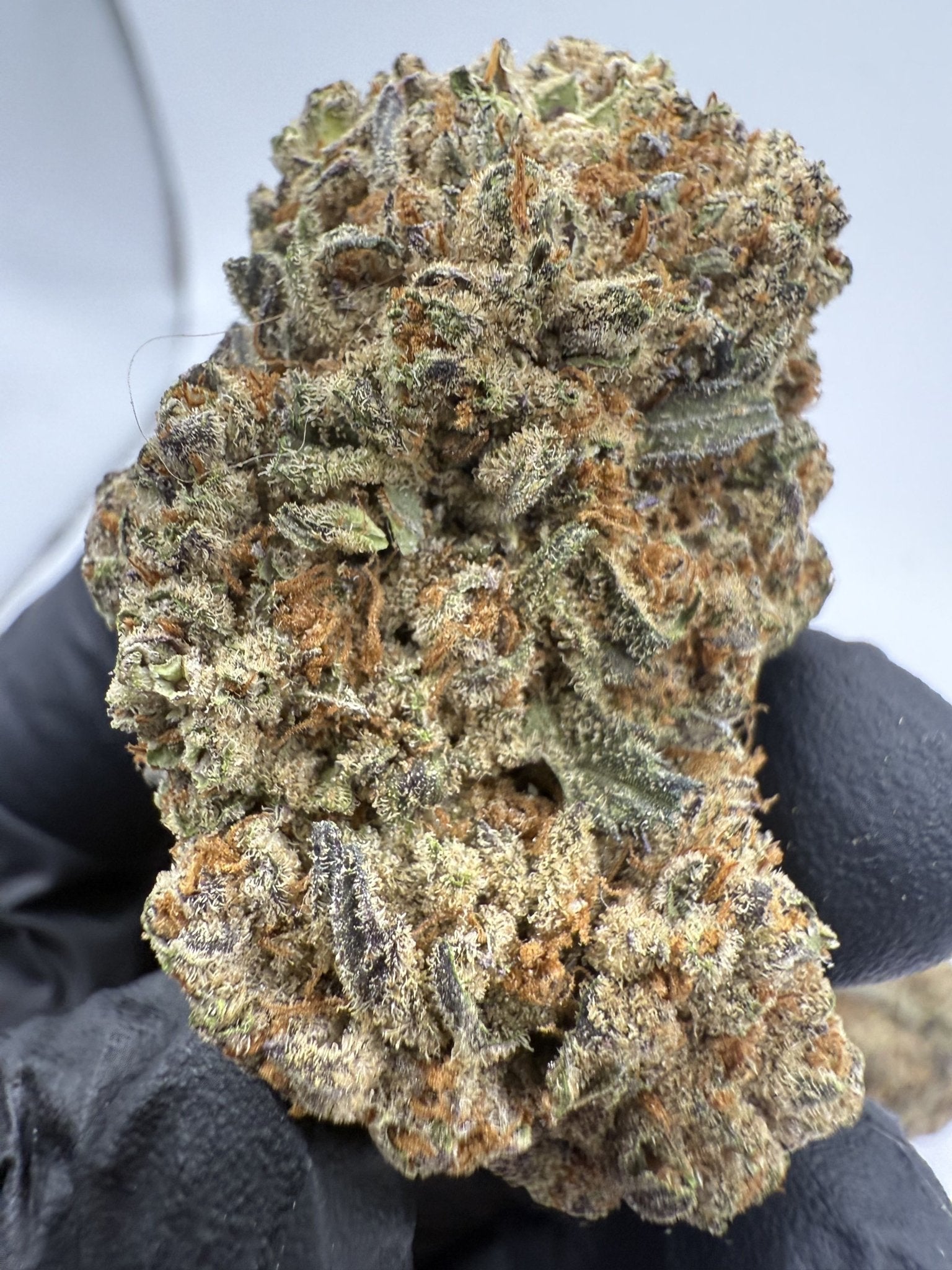 Lava Truffles – Indica - Dominant Hybrid (Top Shelf) - BudZoom