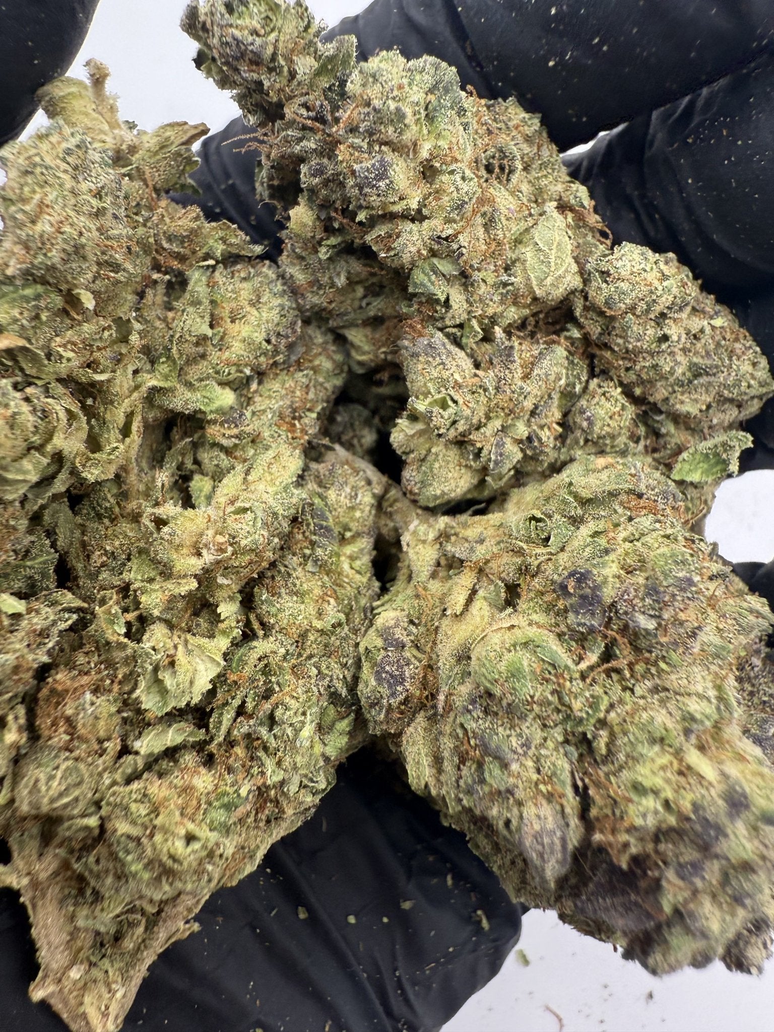 Obama Kush – Indica - Dominant Hybrid (Craft Collection) - BudZoom